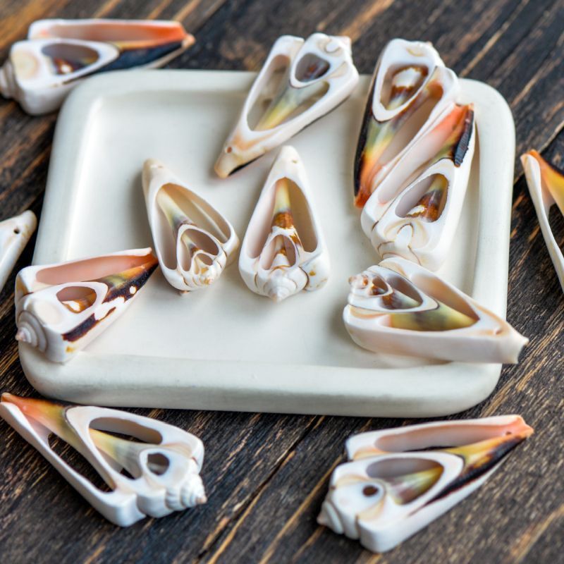 бусина из ракушки, "тригон", цвет персиковый, размерный микс