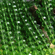 Бусина, стекло абакус 10, граненая, цвет лайм, 10х7 мм 